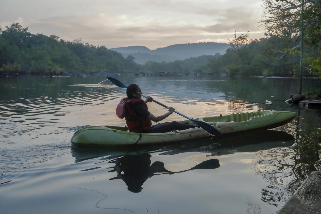 Whistling Woodzs Resort Dandeli Luaran gambar